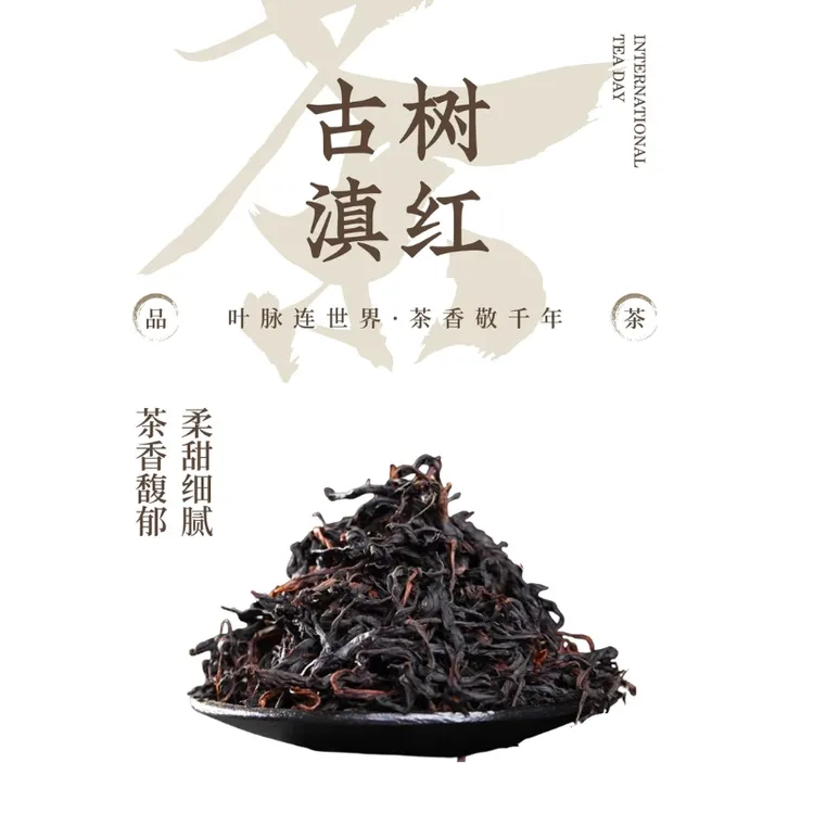 云南古树滇红 小罐/50g
