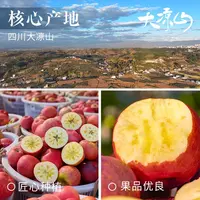 大凉山脆甜丑苹果5斤当季盐源糖心红露苹果水果现摘