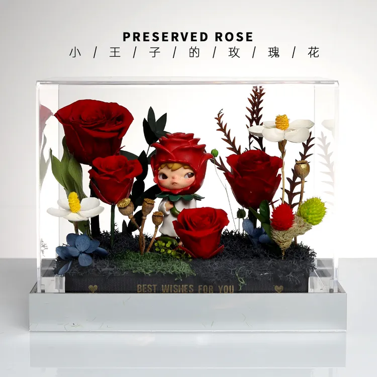 正版玩偶小野小王子的玫瑰花永生花真花摆件生日情人节玫瑰花礼物