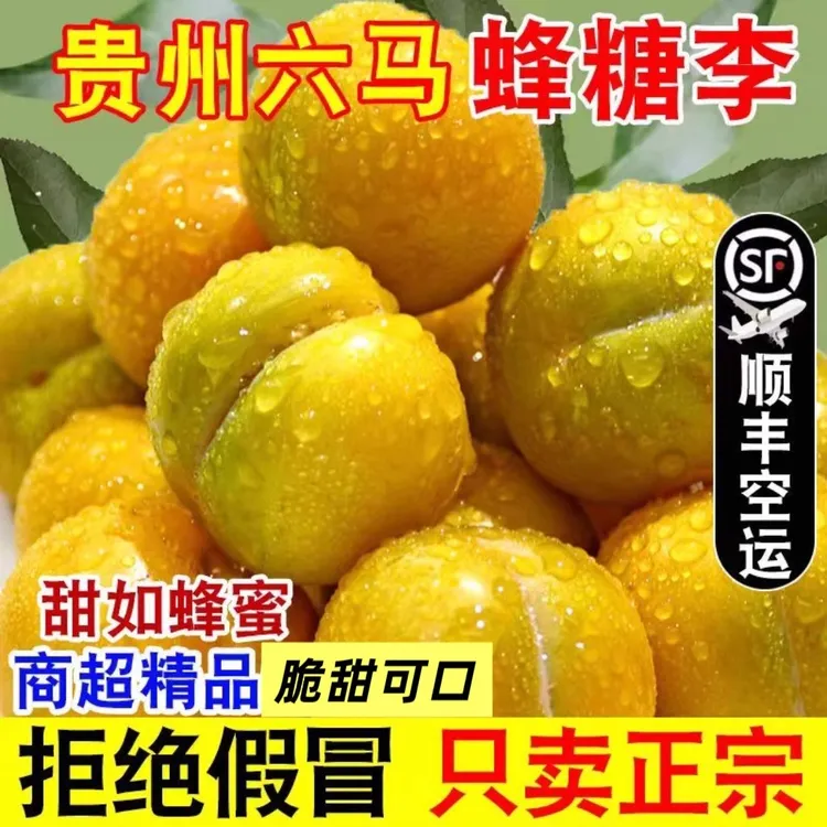 正宗贵州六马蜂糖李脱骨当季新鲜水果顺丰包邮