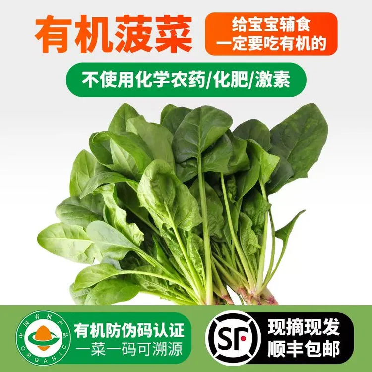 【阿斌生鲜专属】顺丰包邮蔬菜有机菠菜新鲜包邮