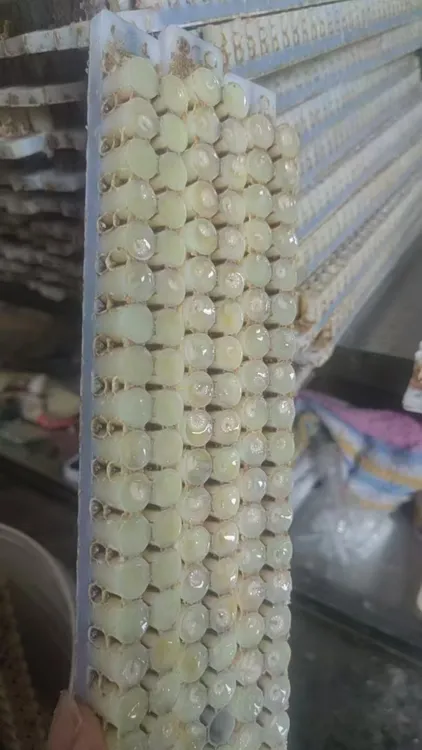 秋季纯天然鲜蜂王浆