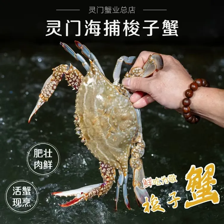 【保鲜不保活】台州灵门梭子蟹共3斤（单只2-.3两）12-15只鲜甜可口
