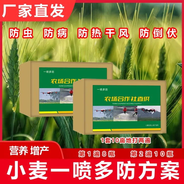 小麦高产一喷多防十亩地打两遍组合