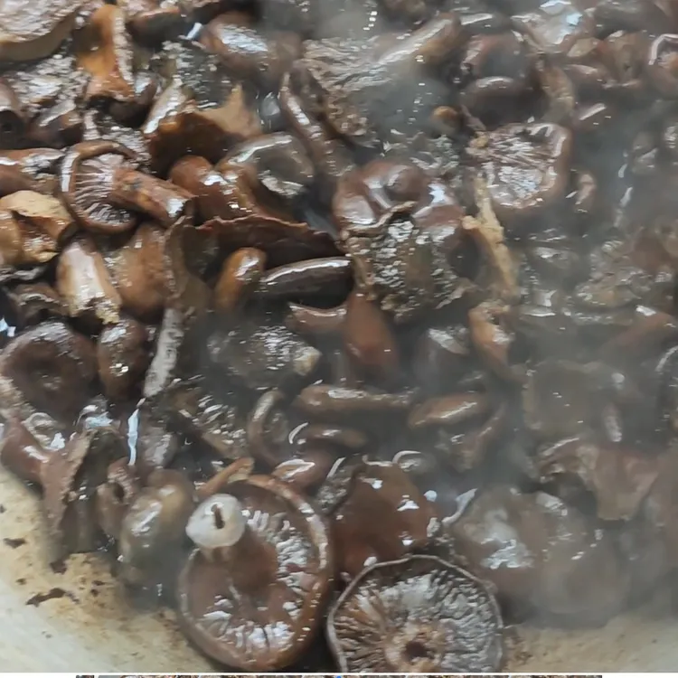 湖南新鲜纵菌大中小统装榨菌油香软嫩滑顺丰包邮包煲首选