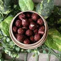 雨腾古茶 爷爷老吴H诊聖W"凤H归W"百B聚能T 77g/罐 （9月28）