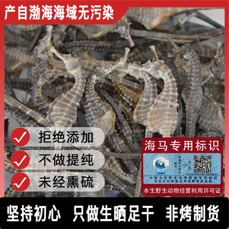 【正品保真】海马煲汤泡酒打粉料公母搭配源头直发专用海马推荐