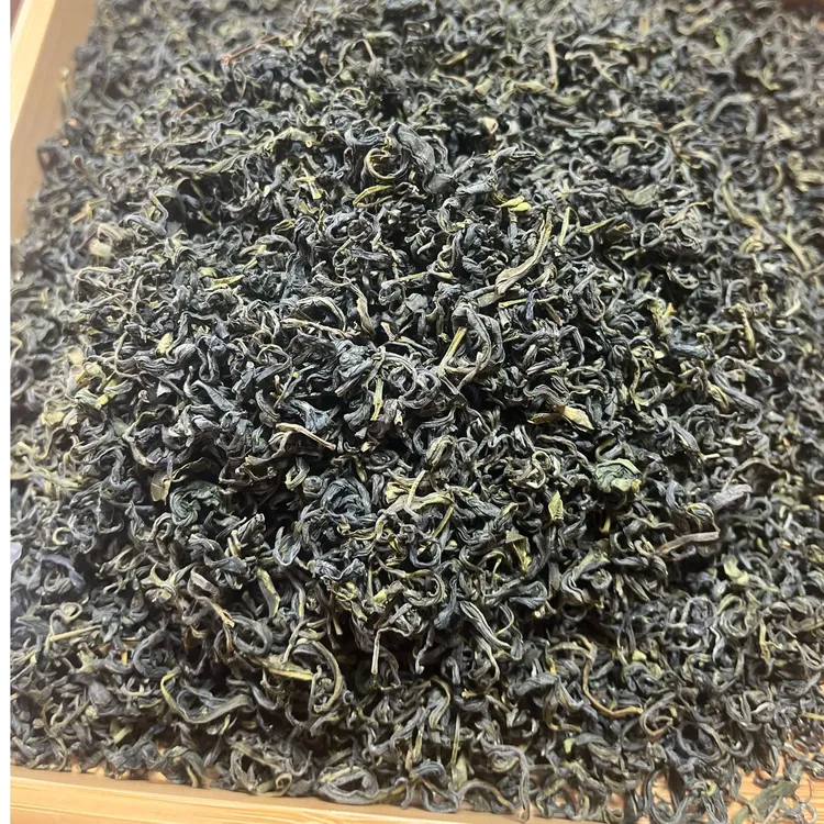 日照绿茶2025日照绿茶麦黄茶口粮茶浓香板栗香滋味醇厚520款