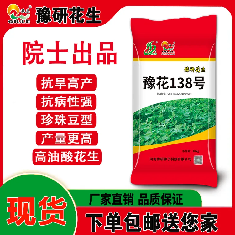 【豫花138号】花生种子高产高油酸高抗病花生当季带壳优质适应性广