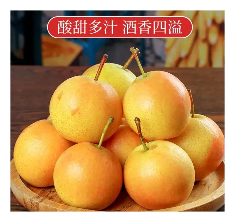 东北鞍山特产百年南果梨树南果梨新鲜采摘软糯香甜整箱包邮