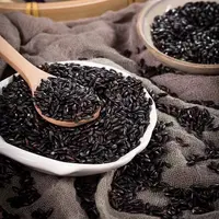 优【黑米】高山种植农家黑米杂粮谷子煮粥打豆浆
