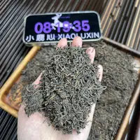 果香六堡茶 小鹿收茶 黑茶 六堡茶 9月25