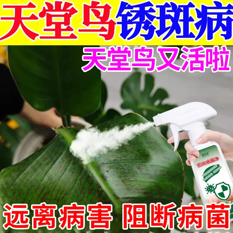天堂鸟锈病专用营养液肥料防叶子锈斑黄叶斑点焦边卷叶烂根枯萎肥