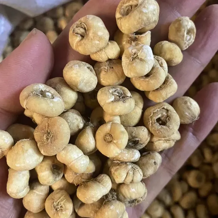 长白山贝母自然晾晒品质优良（煮冰糖雪梨）250克