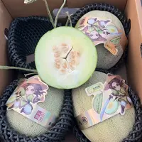 【坏果包赔】九州巴郎蜜瓜4粒净重8.5-9斤