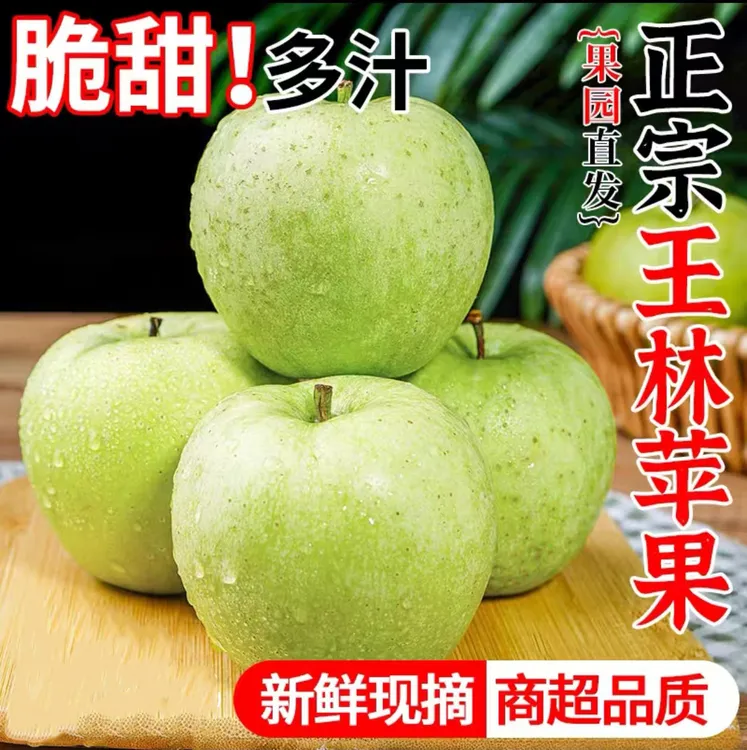 山东烟台正宗绿王林苹果现摘新鲜当季水果青森大果雀斑王林苹果