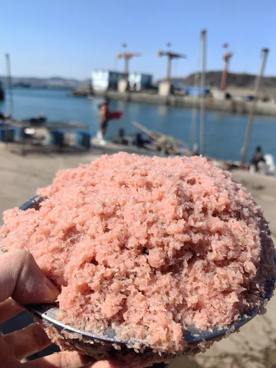 大连旅顺渤海湾当地小蜢虾鲜冷冻发货猛虾顺丰快递