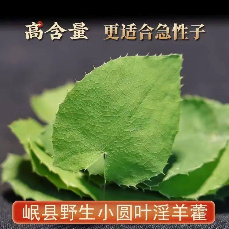 甘肃岷县小圆叶三支九叶草（淫羊霍）野外自然生长自然晾晒