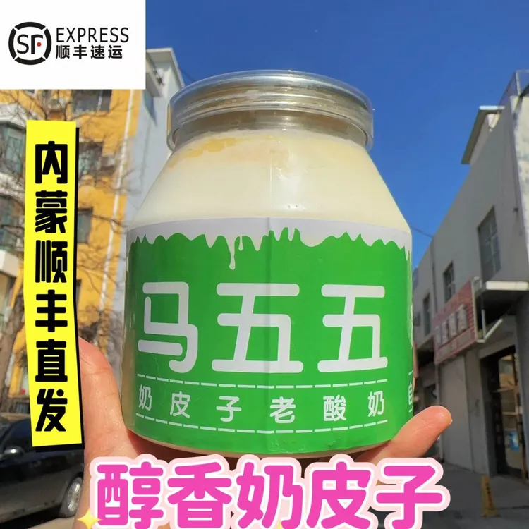马五五奶皮子酸奶内蒙经典老酸奶绿色蓝色大罐酸奶酸奶碗顺丰包邮