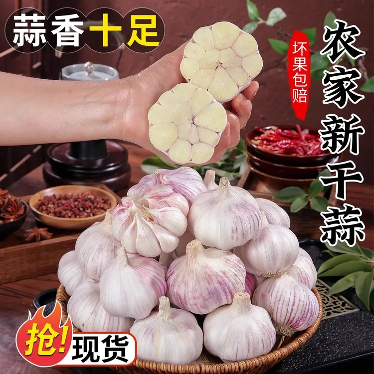 新鲜紫白皮大蒜干蒜农产品生鲜特产辛辣提香厨房必备
