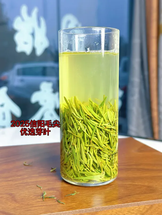2025信阳毛尖优选芽叶