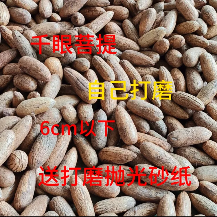 千眼菩提手把件吊坠钥匙扣原果如需打孔请留言随机发货菩提果