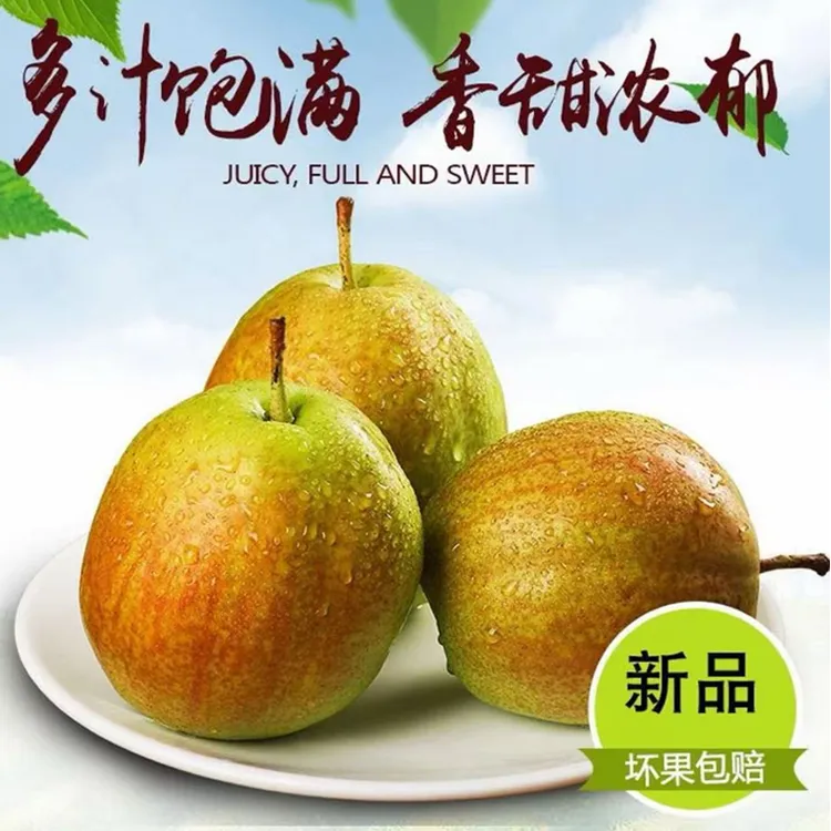 【正大】阳信媚梨4.5斤 脆甜多汁自然成熟坏果包赔