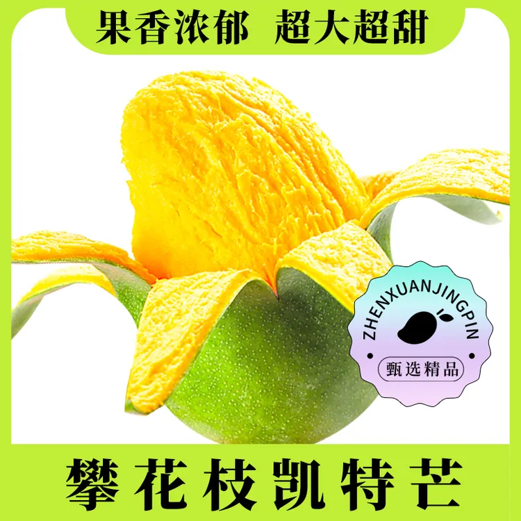 【催熟变软后食用】四川攀枝花凯特芒果5斤8斤大果多汁饱满产地直发