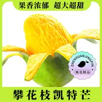 【催熟变软后食用】四川攀枝花凯特芒果5斤8.5斤 多汁饱满 产地直发