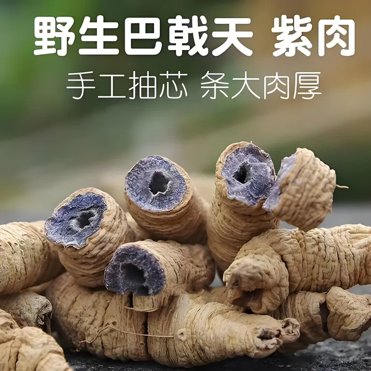 非种植巴戟干新货实用干货