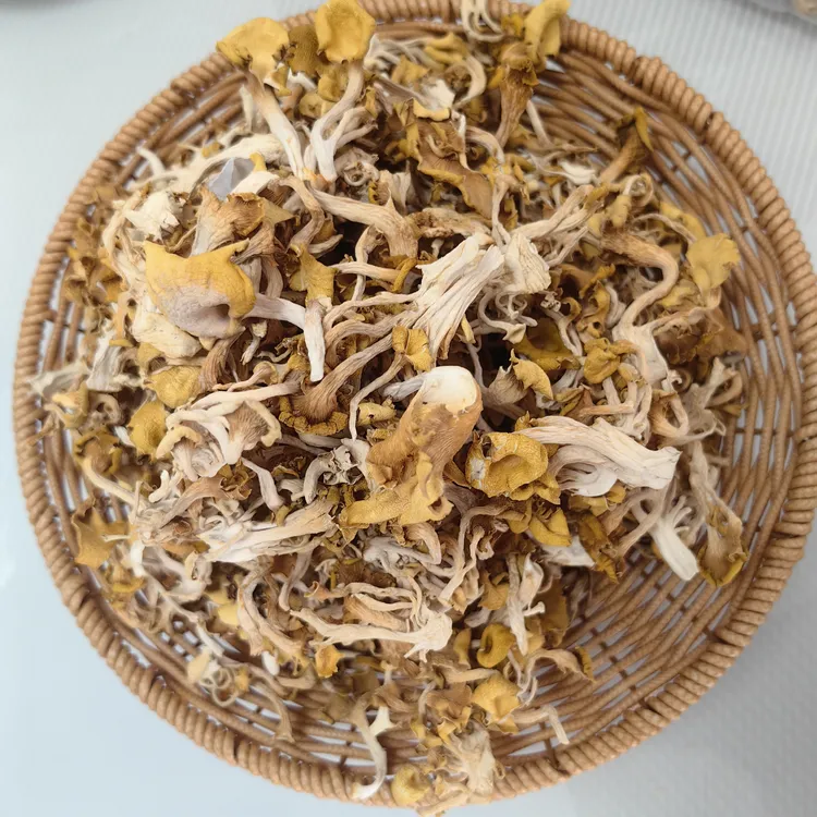 榆黄蘑干味美鲜香炒菜炖菜佳选今年精品干货-1东北榛菇