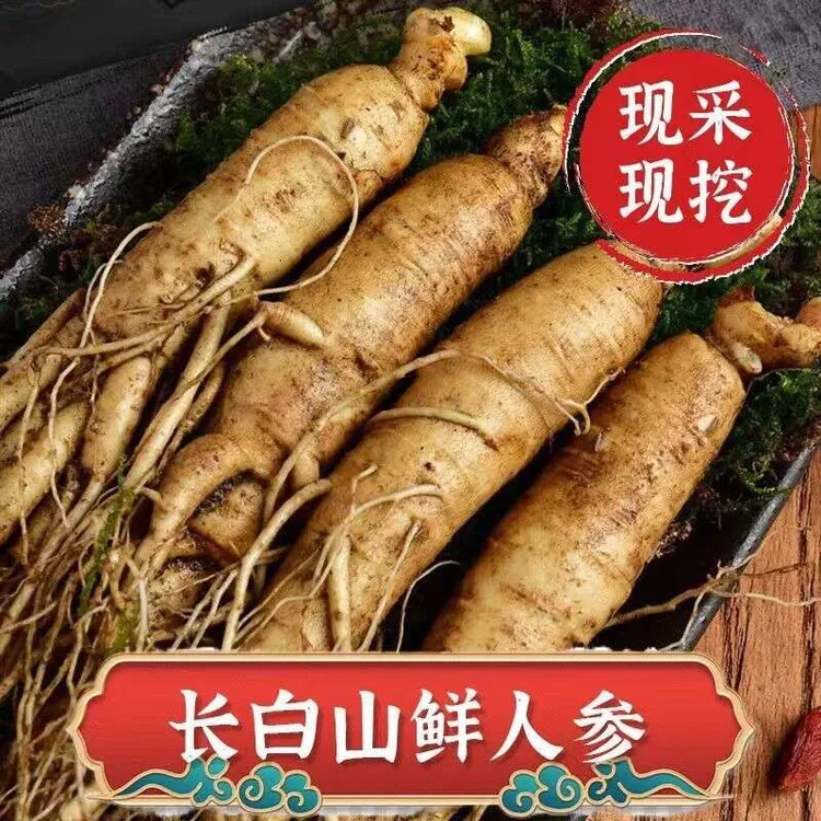 长白山正宗人参新鲜到家