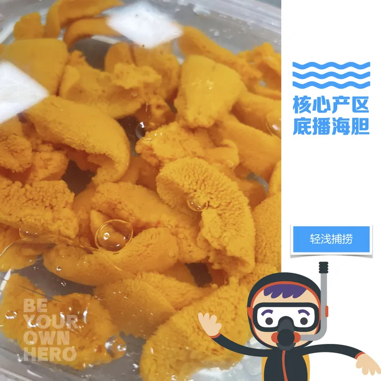 孤胆英雄水盒海胆 刺身级 无明矾 进口包材 净水加工 当日发货