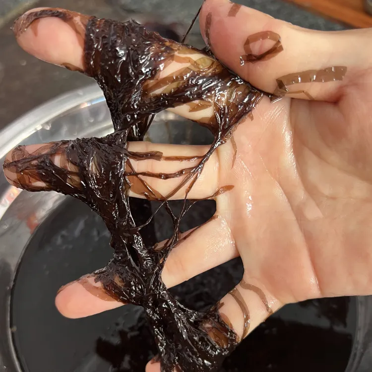 头水紫菜第一天细腻好吃