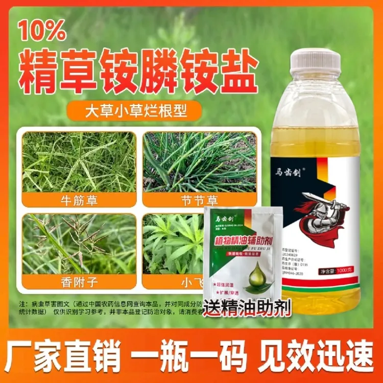 马齿剑精草果园茶园田地田埂通用牛筋草小飞蓬强力除草烂根专用剂