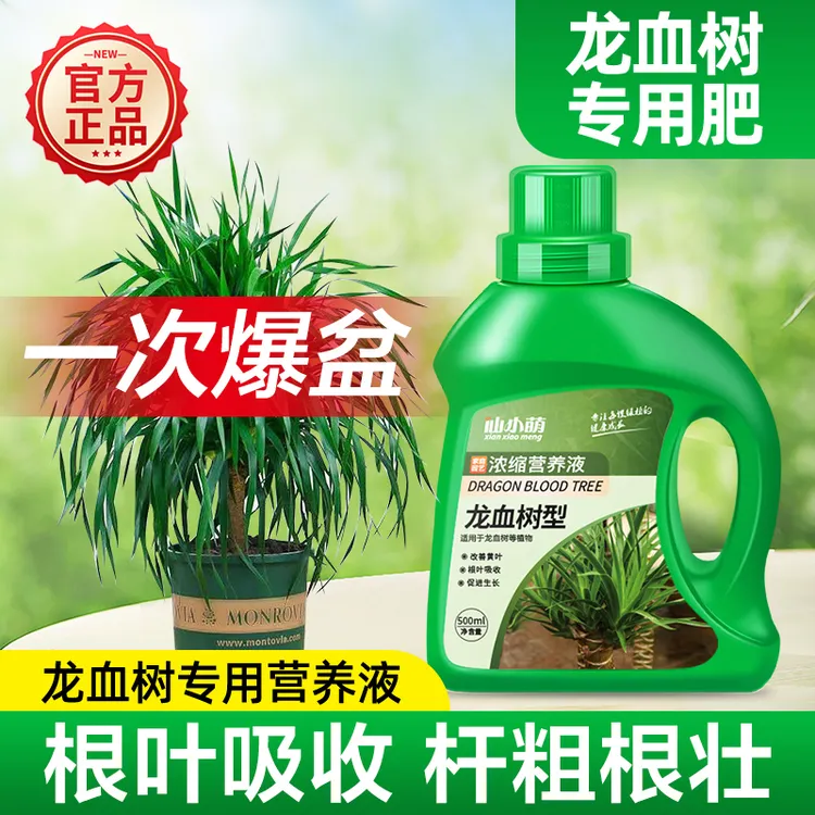 龙血树专用肥料治黄叶掉叶干尖烂根绿植盆栽家用室内龙须树营养液