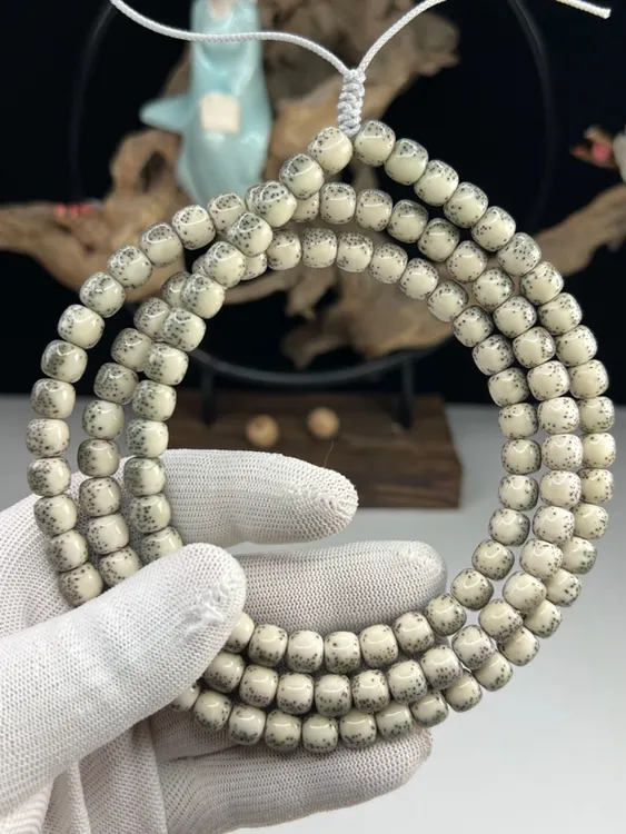 海南星月菩提 河豚9×8绿背同枝果108
