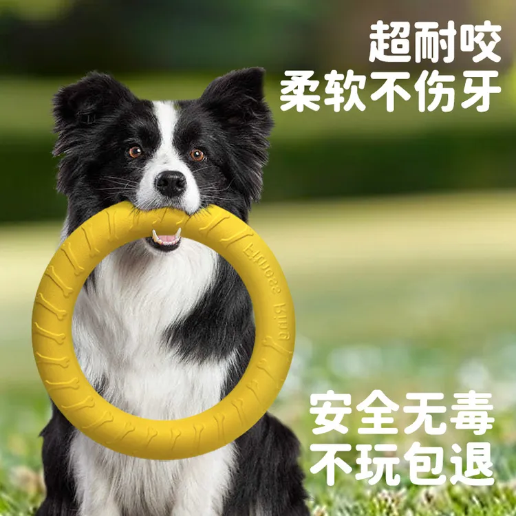 狗狗玩具互动拉力环耐咬球磨牙解闷神器逗小狗宠物拉布拉多狗用品