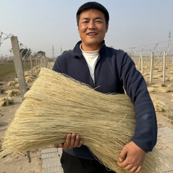 农家红薯粉条细粉手工粉条炒菜凉拌涮火锅做酸辣粉河南特产