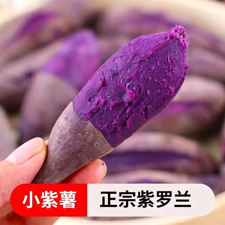 新鲜沙地紫薯香甜粉糯健康粗粮早餐老少皆宜紫罗兰红薯紫地瓜蔬菜