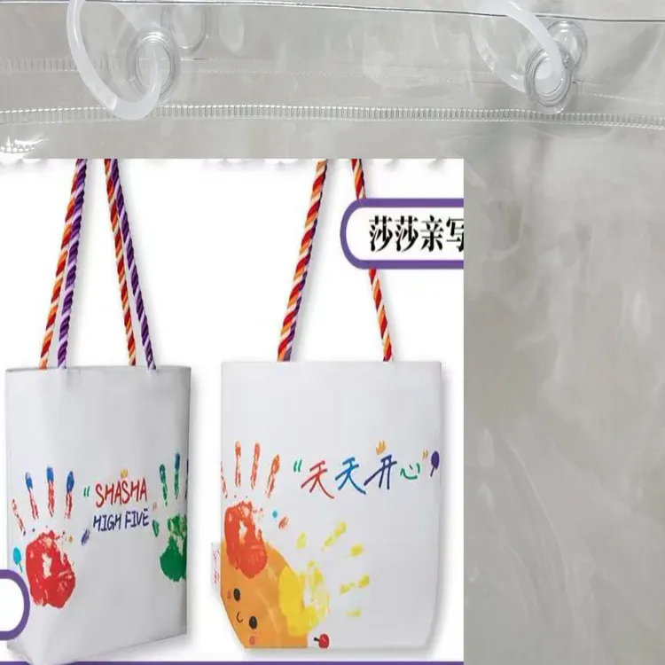 孙颖莎高露洁加油击掌包帆布包保护壳透明保护套防尘防脏保护壳