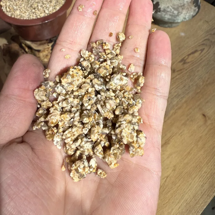 风化土 海岛春花 栀子花 石枫 原生环境土 疏松透气性好 来根快