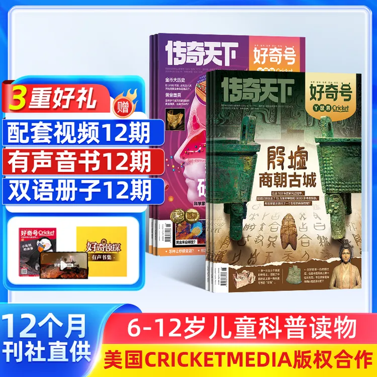 好奇号杂志 2025年订阅   6-12岁儿童科学科普杂志铺