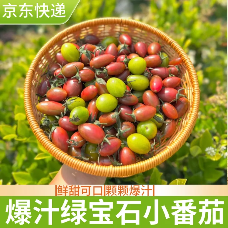 芳芳源本地绿宝石甜心红小番茄 现摘现发