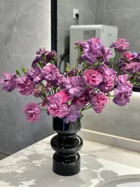 婵之语花咖婵之语优选 艾伦多头康乃馨鲜切花