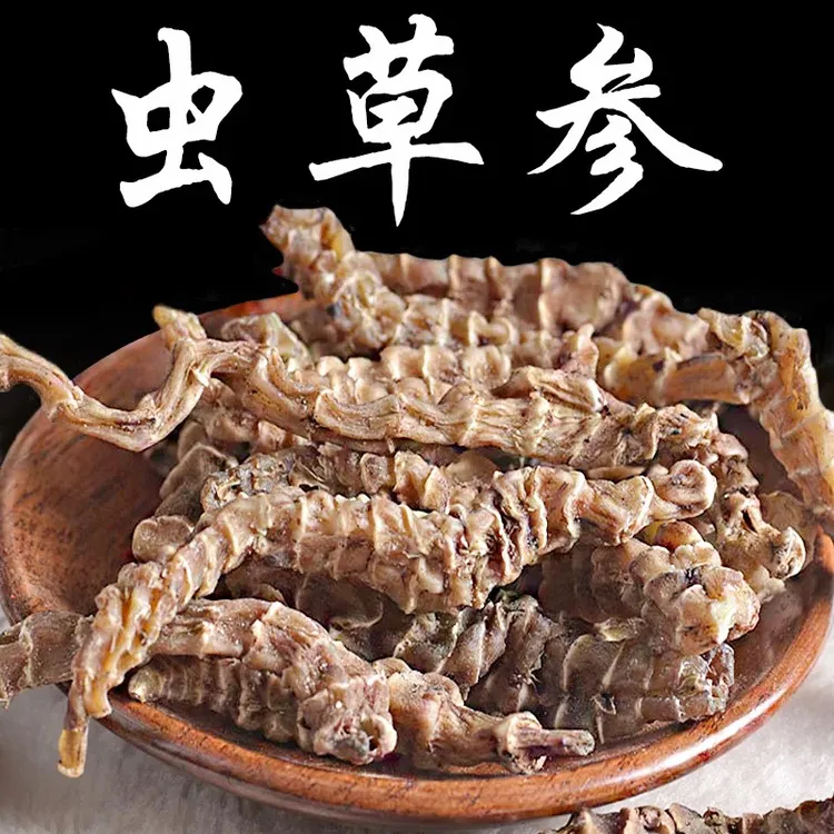 精选优质虫草参可搭配枸杞煲汤煮水