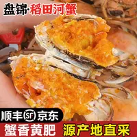 送12只【全母蟹】活蟹顺丰京东盘锦稻田河蟹1.0-1.3两/只共发24只