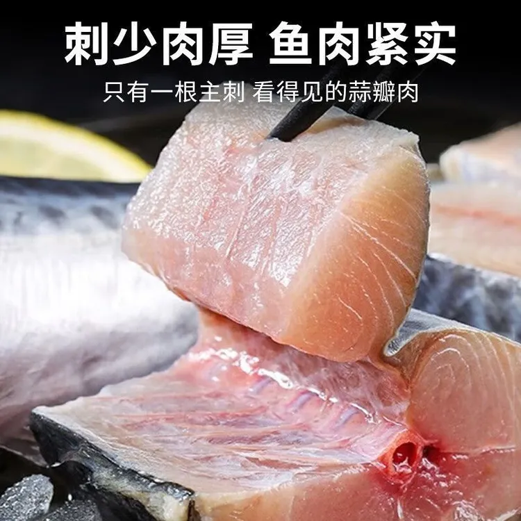 深海特大马鲛鱼新鲜中段肉顺丰直达新鲜鱼正宗马鲛鱼