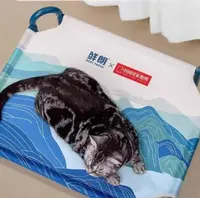 噼啪专属猫狗用宠物生活用品