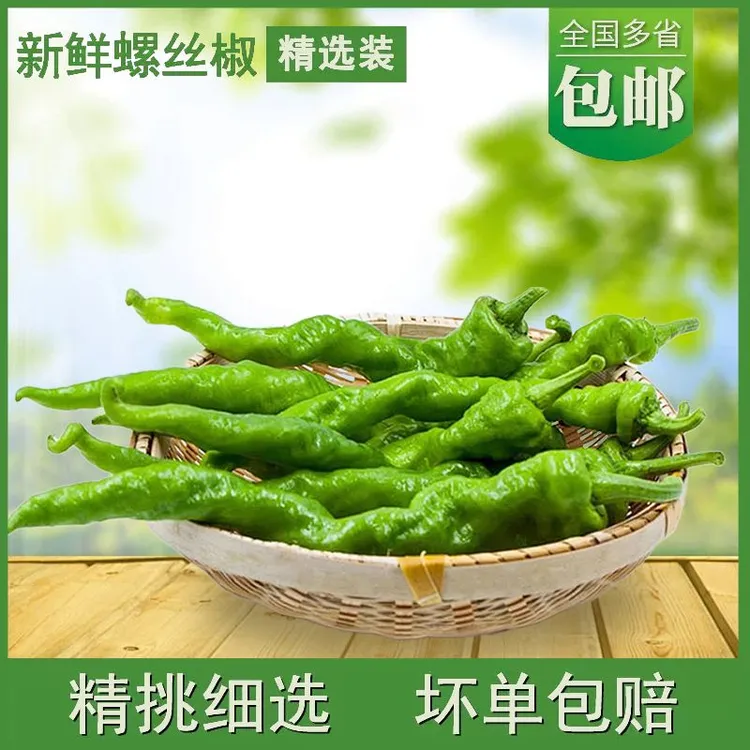 新鲜螺丝椒薄皮皱皮特辣青椒农家现摘香辣虎皮辣椒 农家新鲜蔬菜